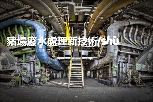 豬場廢水處理新技術(shù)：環(huán)保之路還是難題重重？